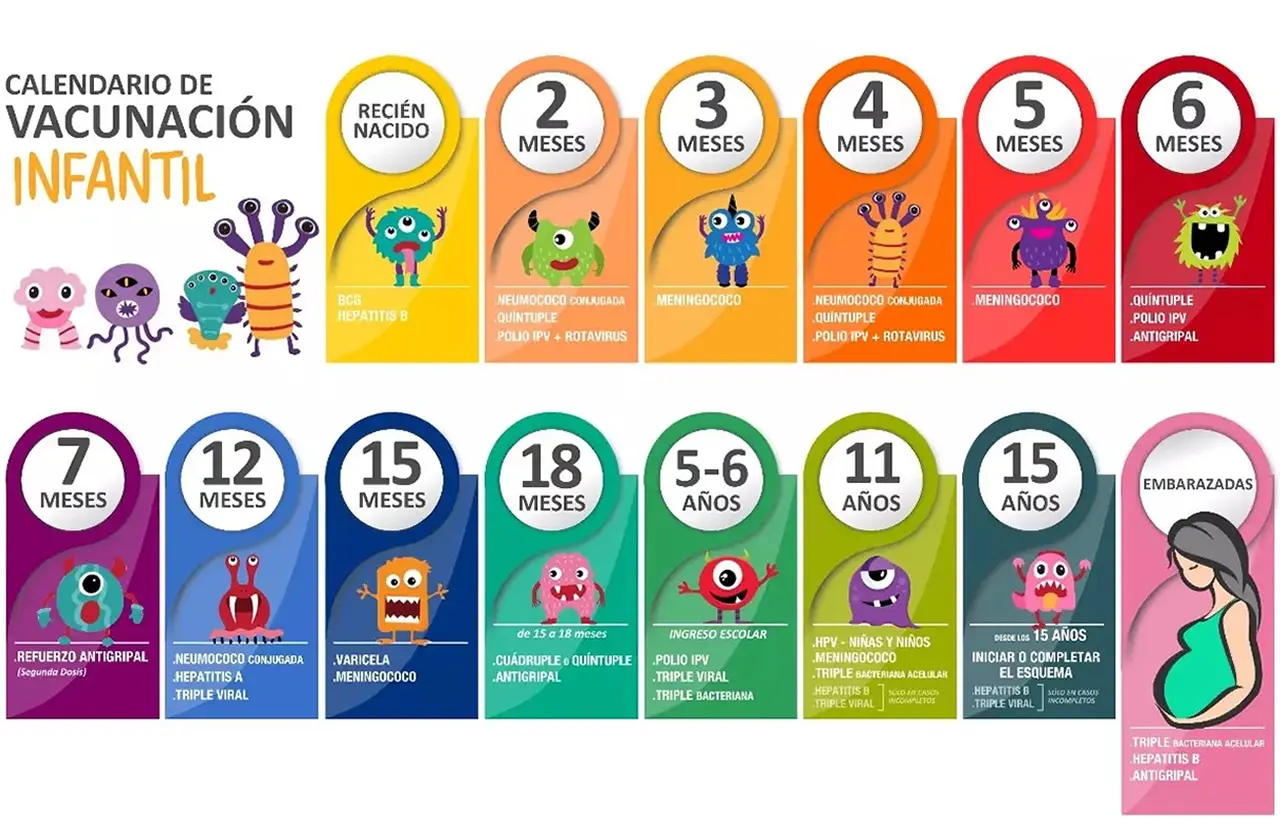 calendario de vacunacion